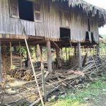 克钦邦葡萄镇区野象闯入村里，已有5人被踩死-棋牌技巧-棋牌策略-棋牌论坛