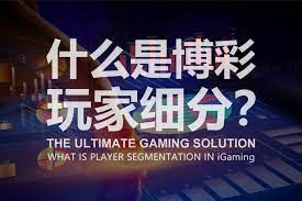 竞彩足球过关术语解析：如何进行有效投注？-棋牌技巧-棋牌策略-棋牌论坛