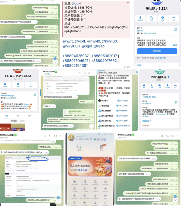 8d598f8c5020251120161047